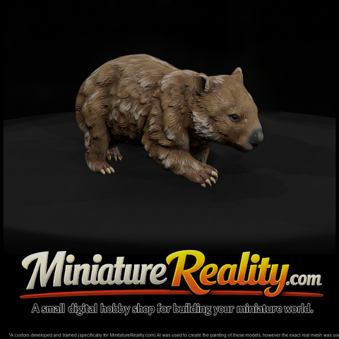 Young Wombat