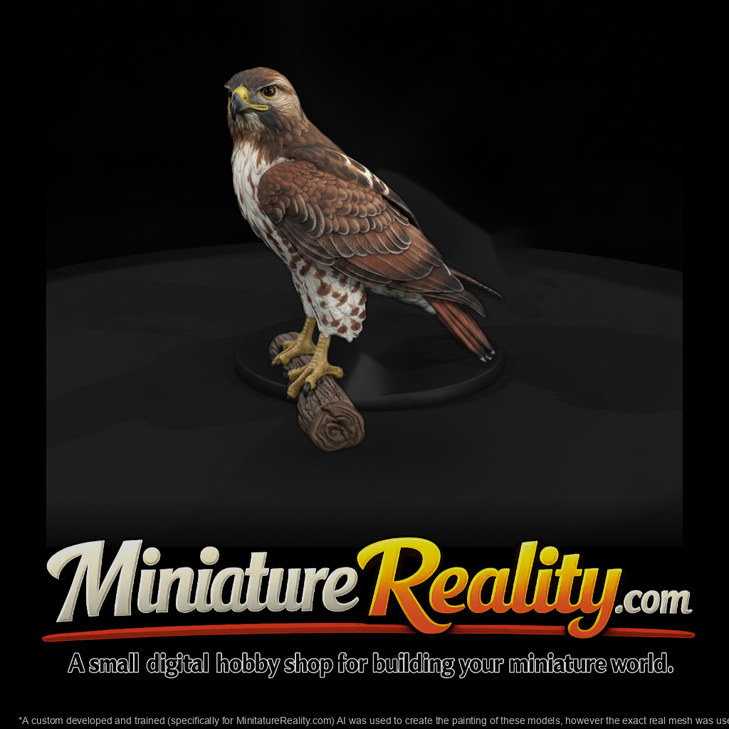 Ww 0343 Animal Red Tailed Hawk