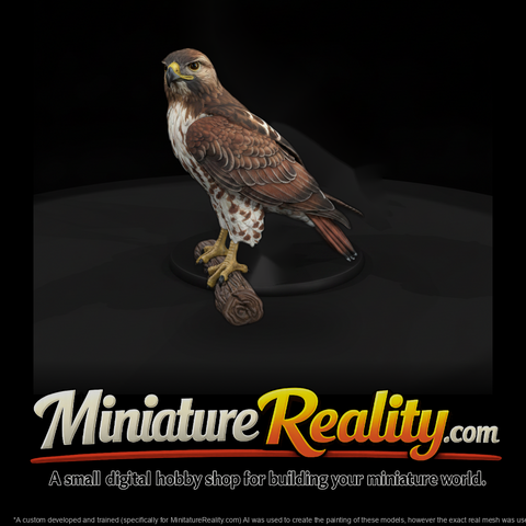 Ww 0343 Animal Red Tailed Hawk
