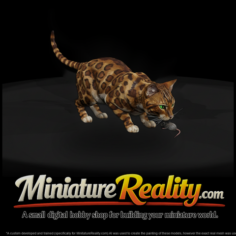 A Collection Of Housecats Bengal 82B24B8E Meshref