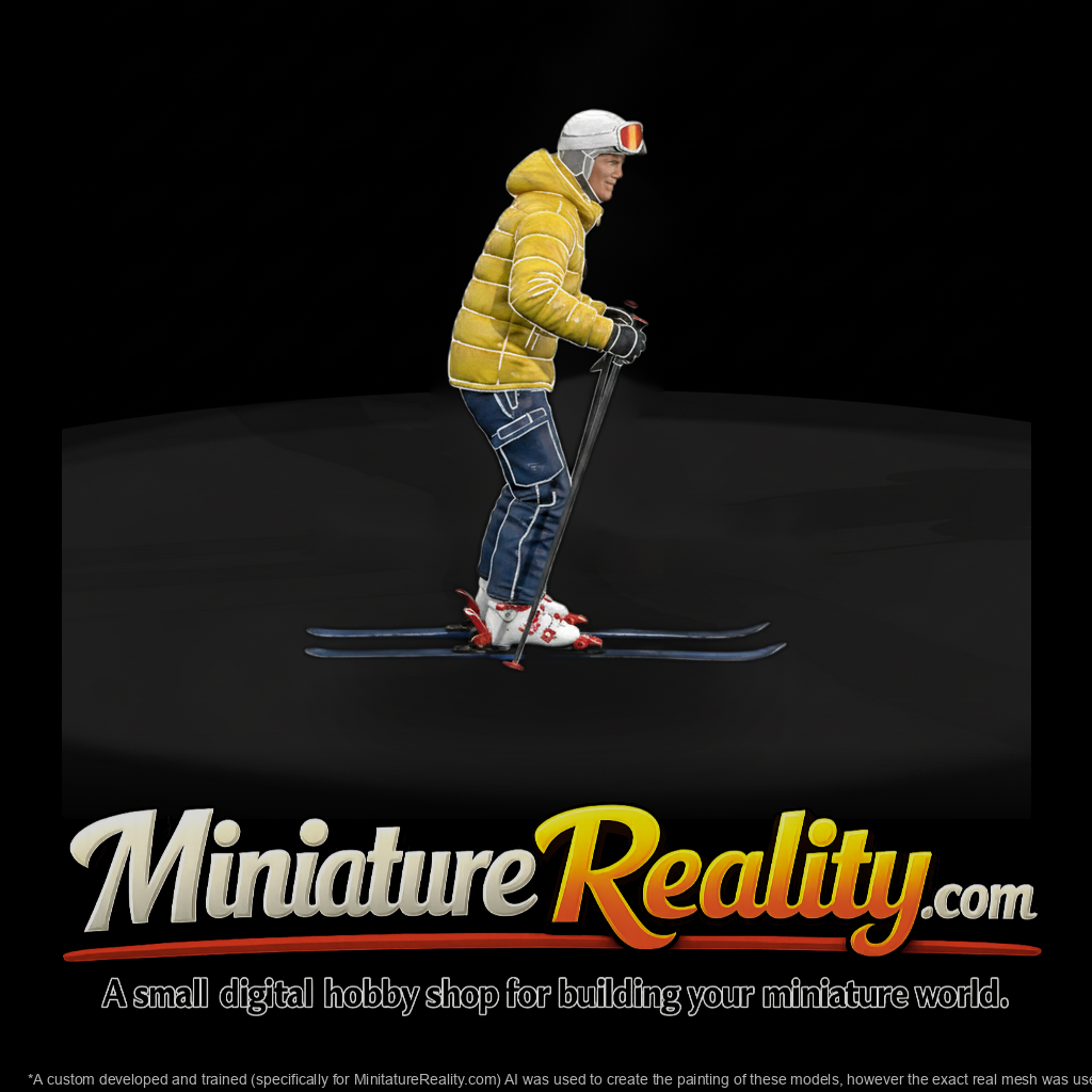 0094 Sports Skier Poles