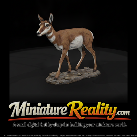 Ant 053 Pronghorn Female