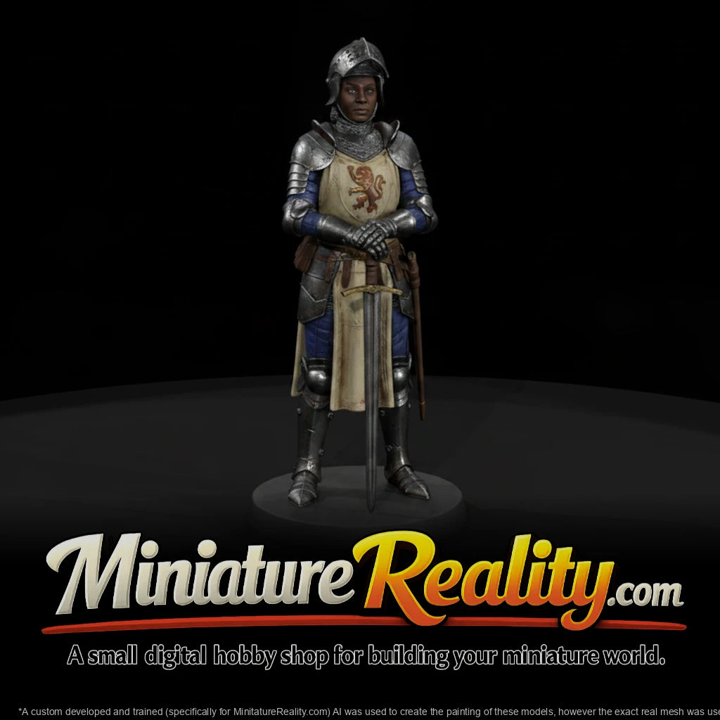 ren-006-knight-5b79b7