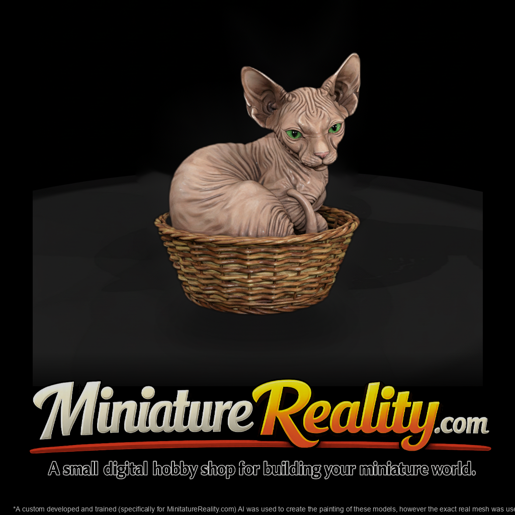 A Collection Of Housecats Sphynx B06C75Ad Meshref
