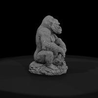 ant-038-western-gorilla-female — thumbnail 2