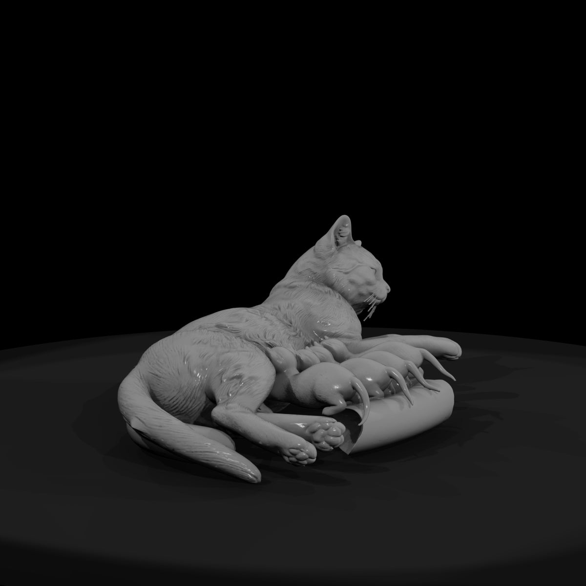 a-collection-of-housecats-mother-a64bb628-meshref