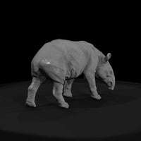 ant-253-malayan-tapir-male — thumbnail 2