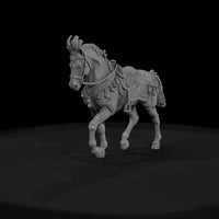 cir-117-animal-trick-pony — thumbnail 2