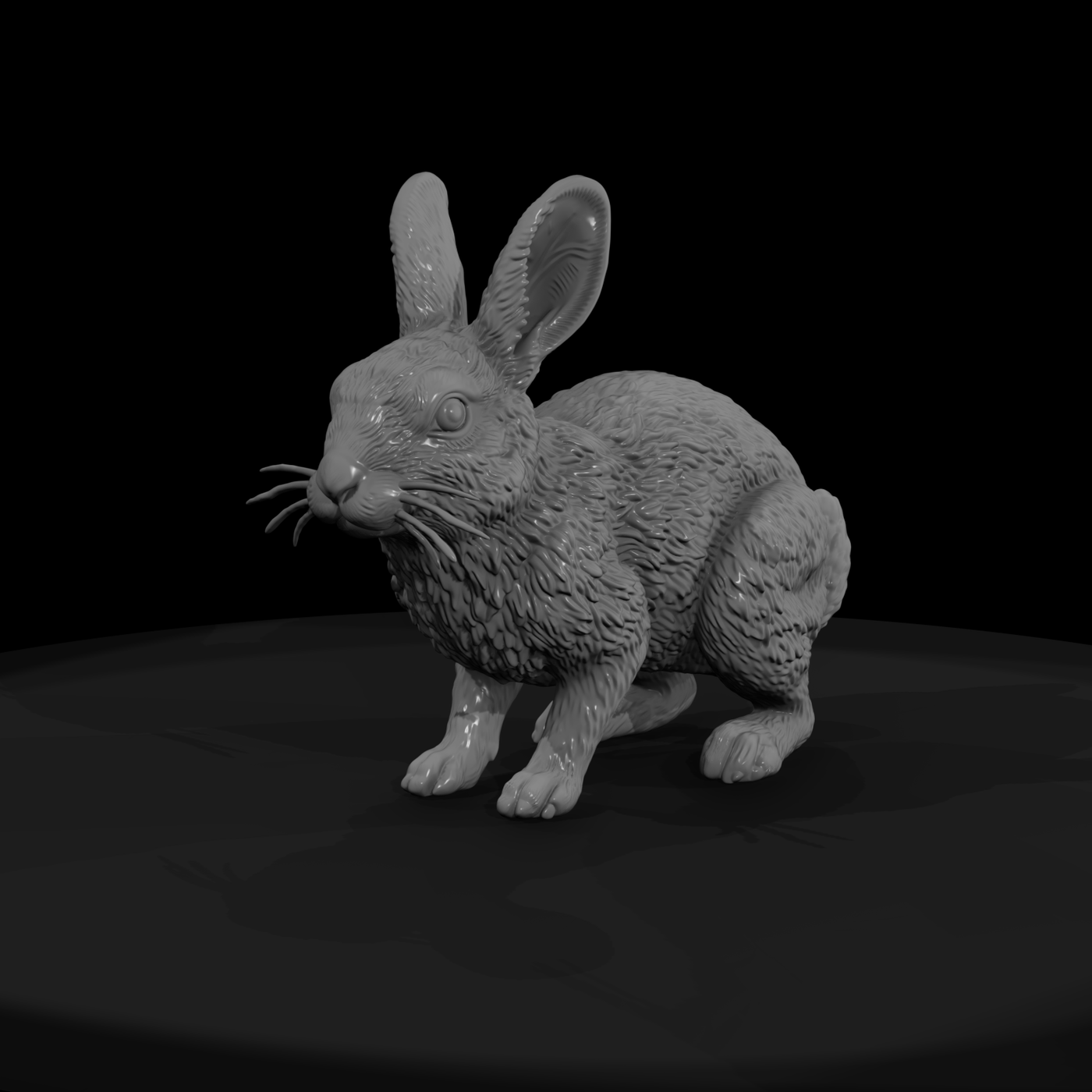 Ww 0323 Animal Desert Cottontail