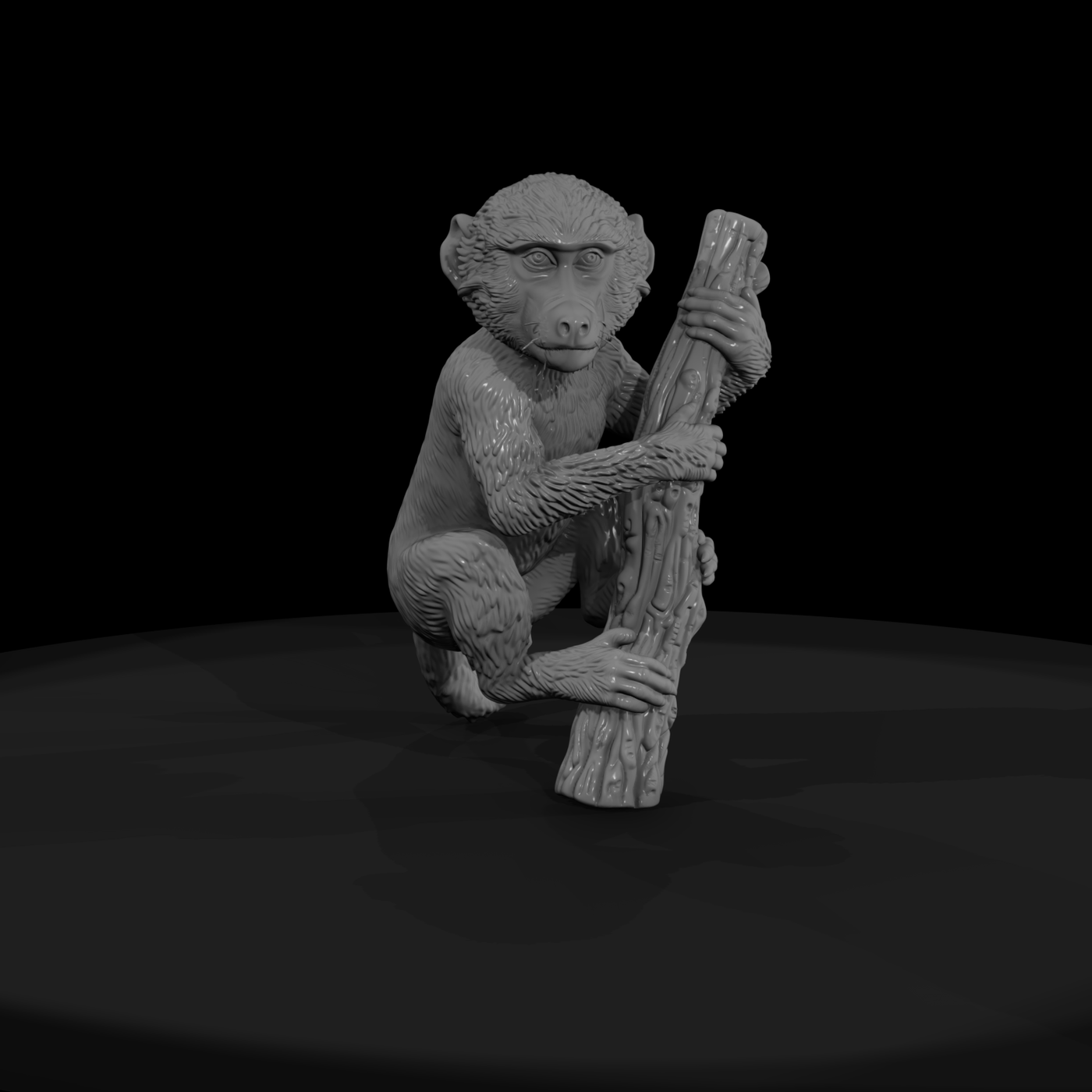 Olive Baboon Adolescent