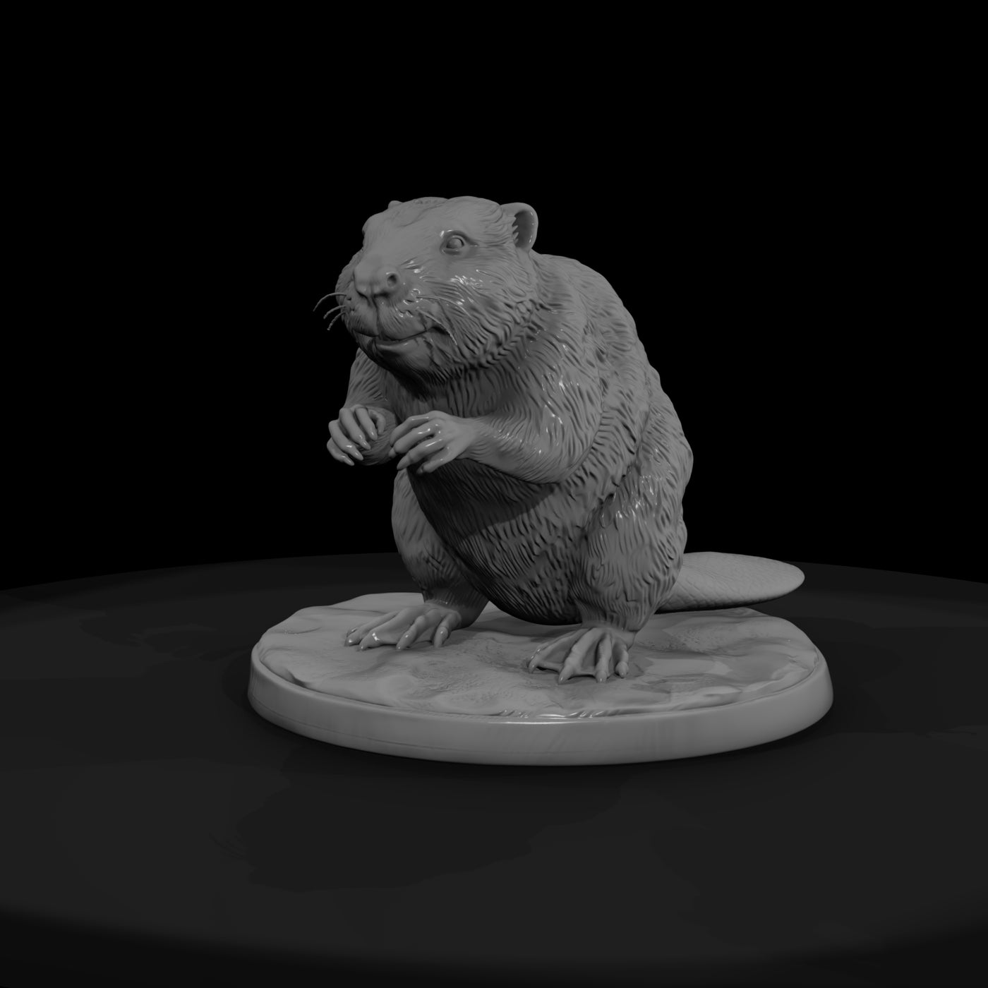 ant-188-beaver-female