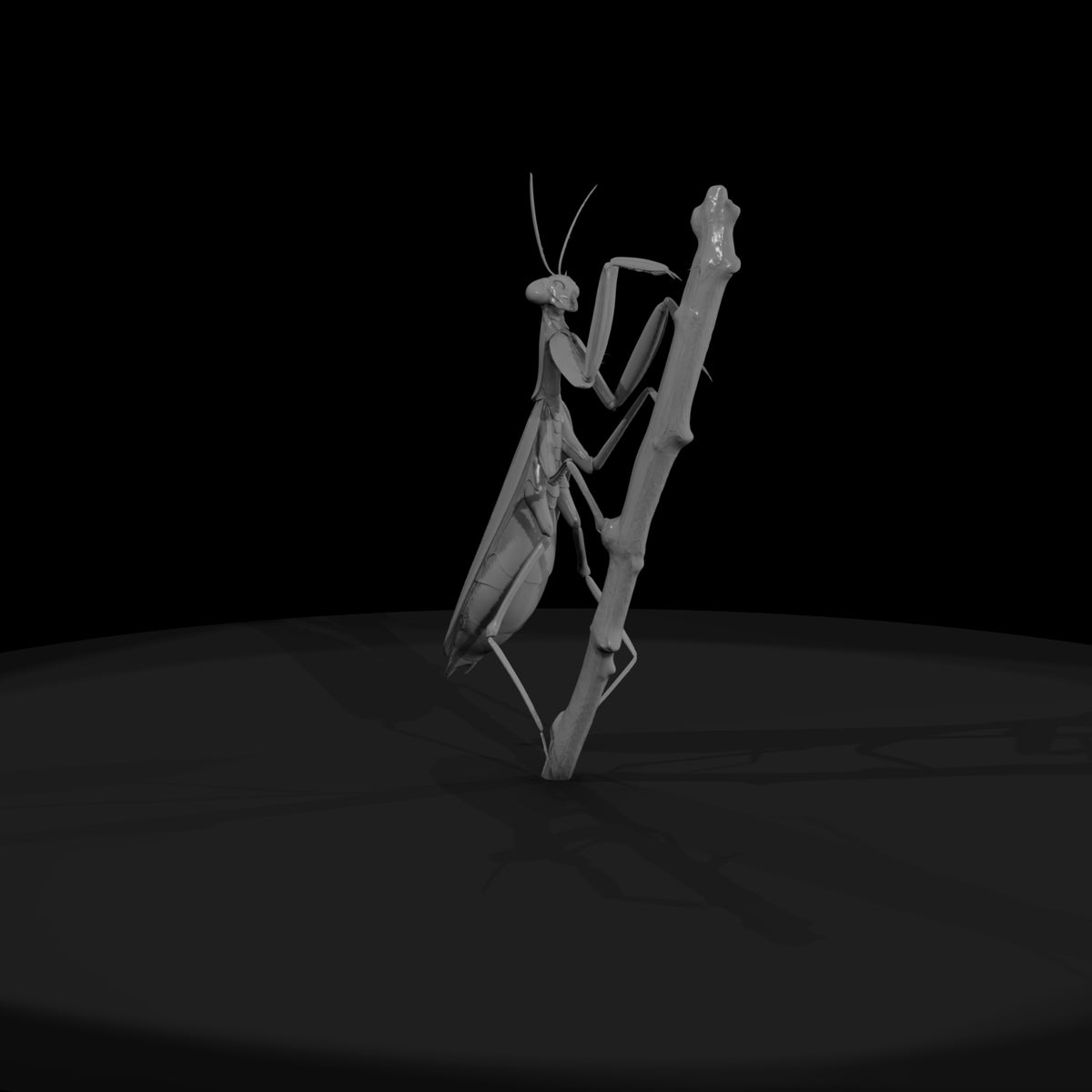 praying-mantis-miniature-diorama-accent-431483