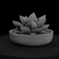 low-poly-monochrome-succulent-planter-3d-printable-050345 — thumbnail 3