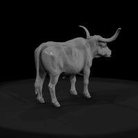 ww-0295-animal-longhorn-cow — thumbnail 2