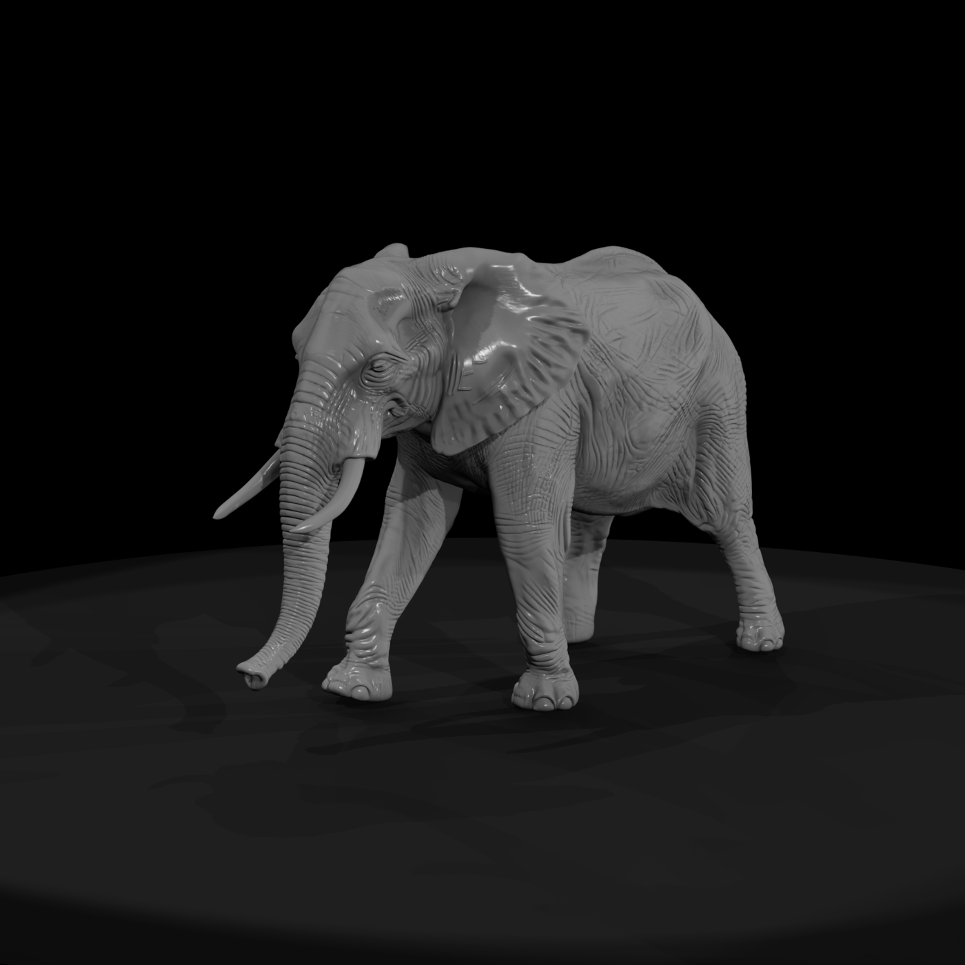 Ant 023 African Elephant Female