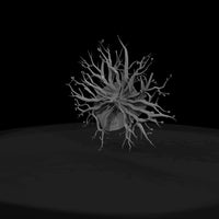 minimalist-tree-root-wall-sculpture-3d-printable-143035 — thumbnail 3