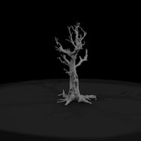 20260612-gnarled-dead-tree-0a1498bdad — thumbnail 2