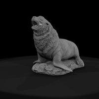 ant-139-sea-lion-male — thumbnail 2