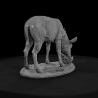 ant-248-waterbuck-female — thumbnail 2