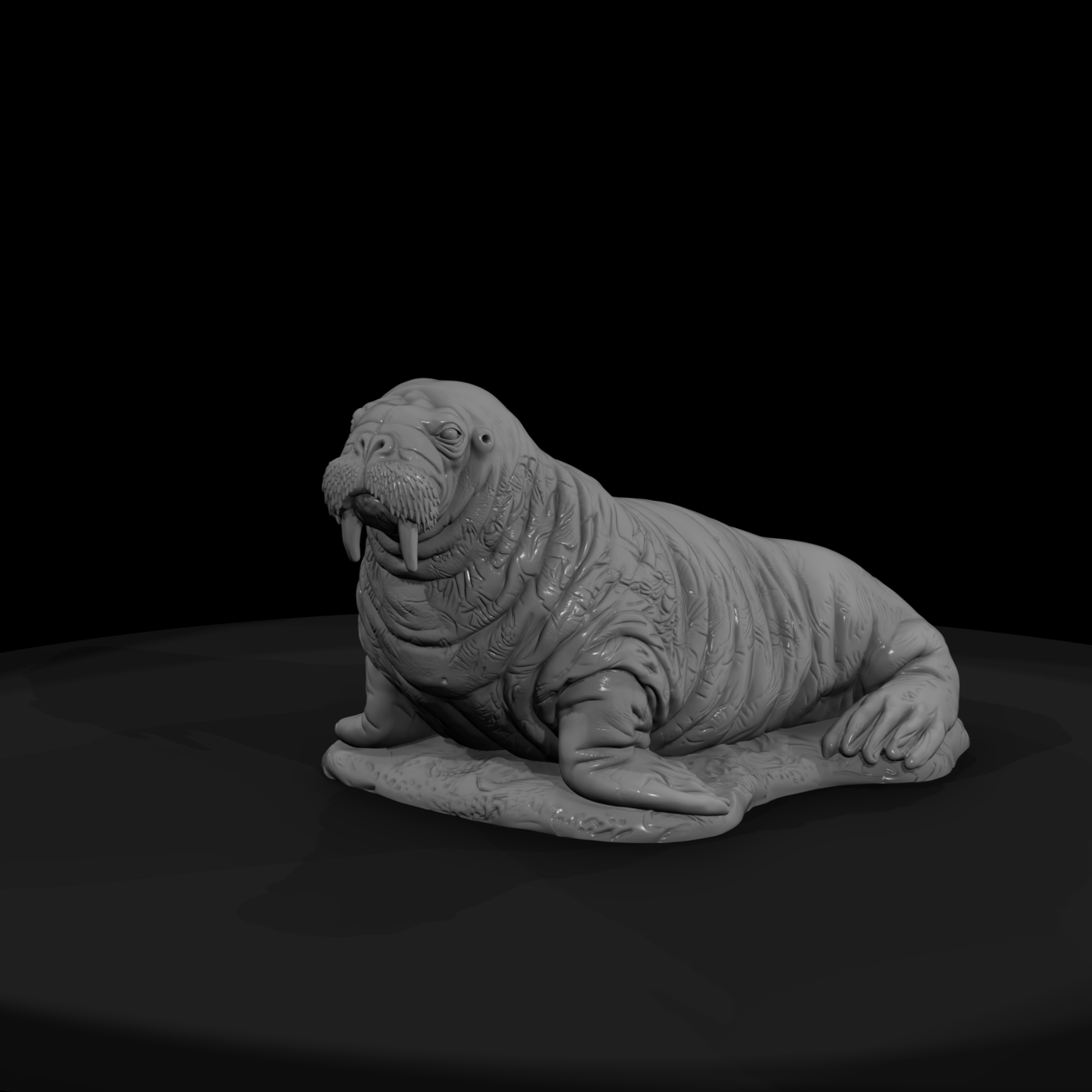 Ant 143 Walrus Female