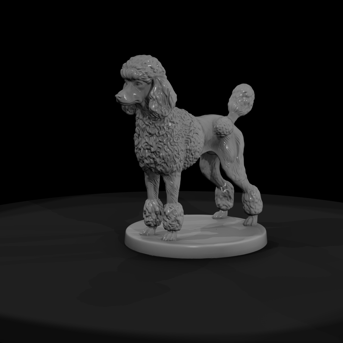 Standing Standard Poodle