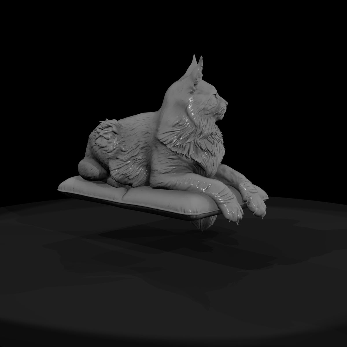 a-collection-of-housecats-maine-b6239969-meshref