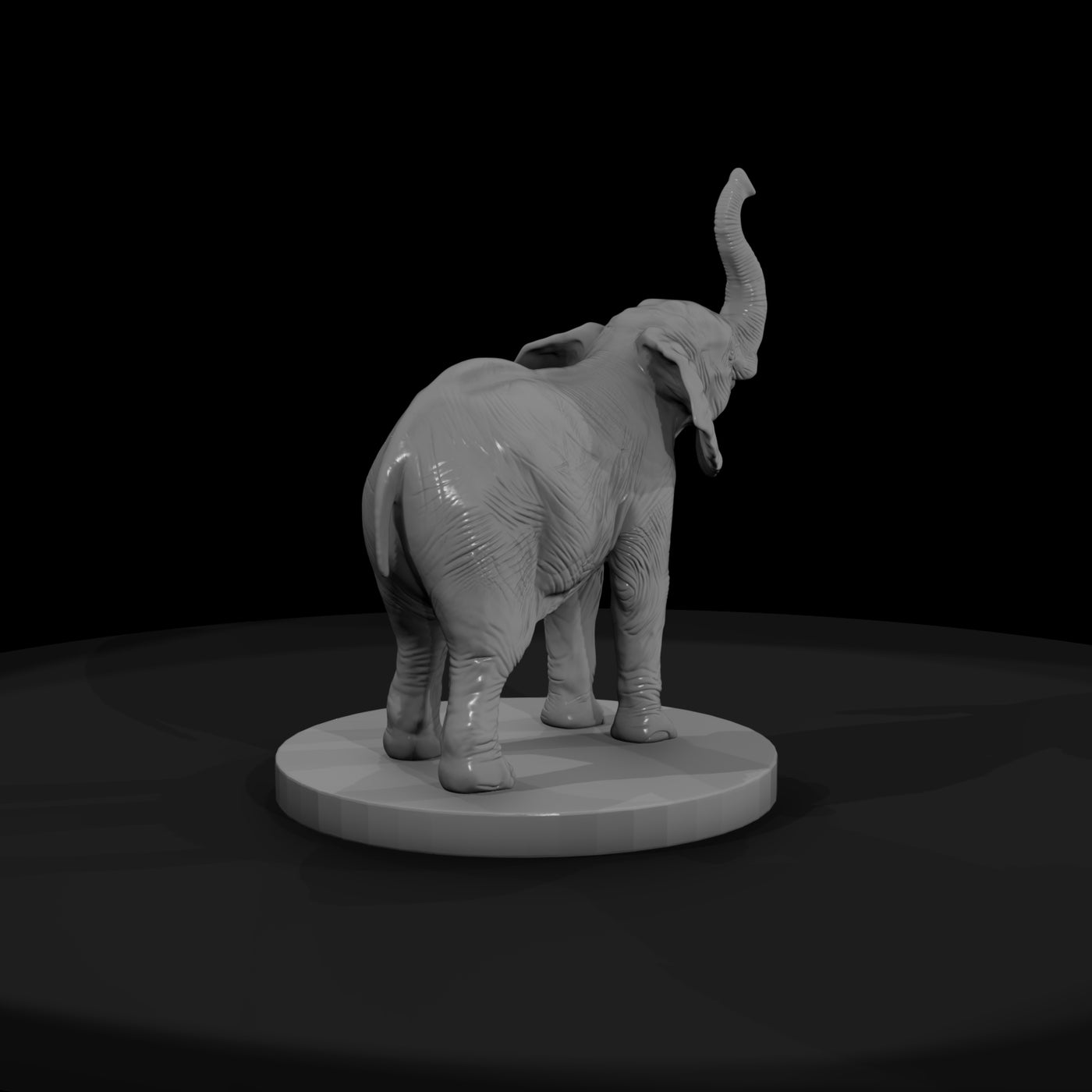 ant-024-african-elephant-adolescent