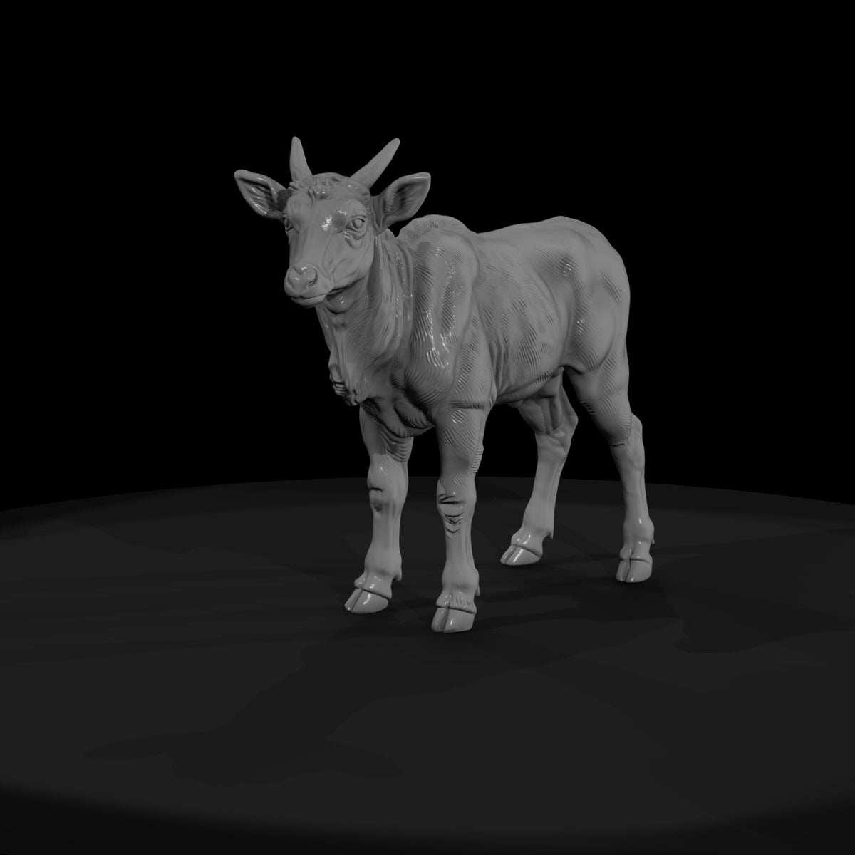 ant-243-eland-adolescent