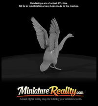 swan-landing — thumbnail 2