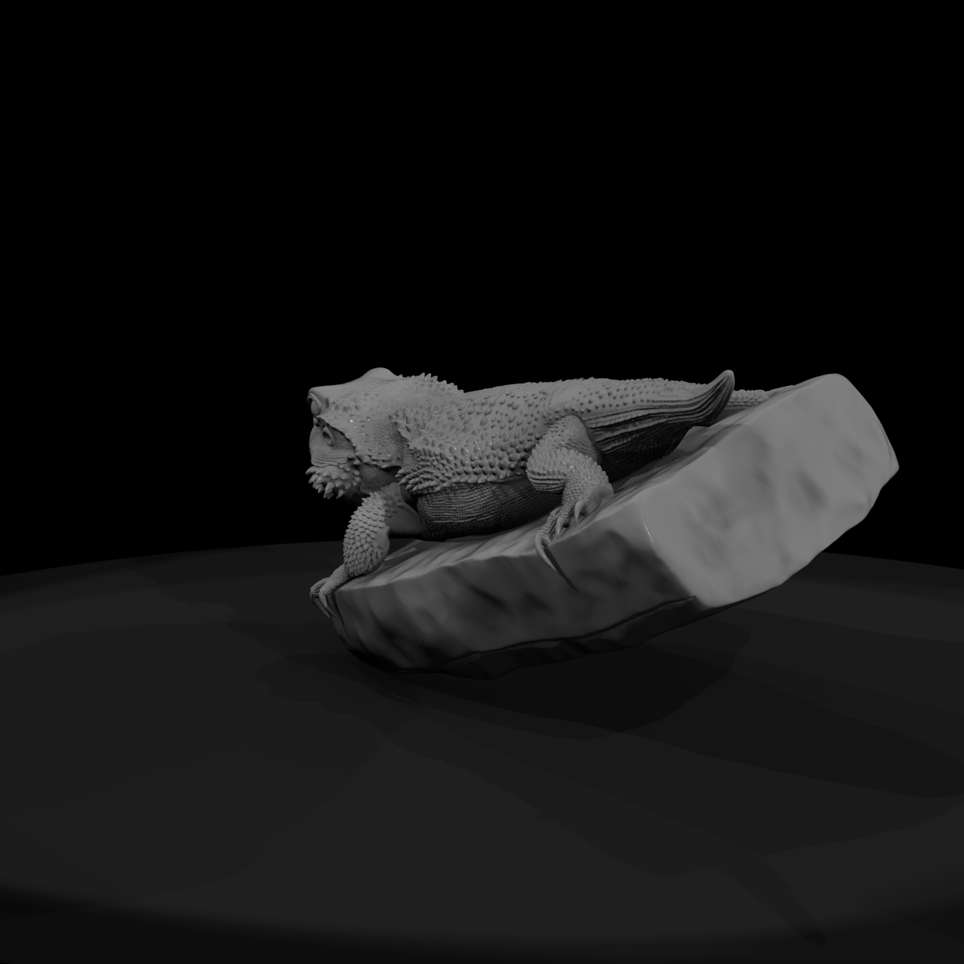 Bearded Dragon on Rock — Reptile