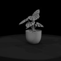 minimalist-monstera-potted-plant-3d-printable-miniature-048520 — thumbnail 3