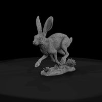 ww-0322-animal-jackrabbit — thumbnail 2