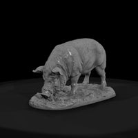 ww-0300-animal-hog — thumbnail 2