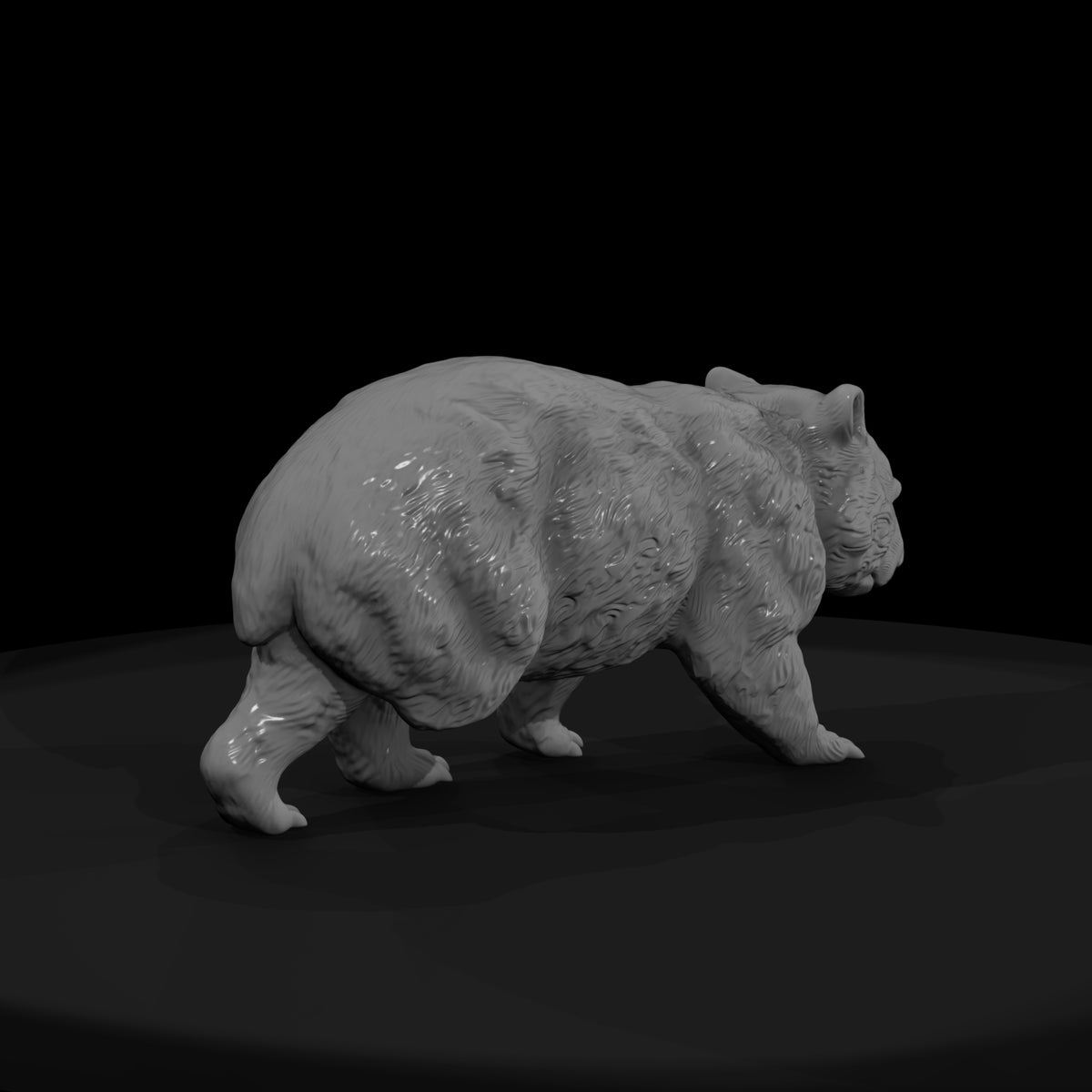 ant-268-common-wombat-male