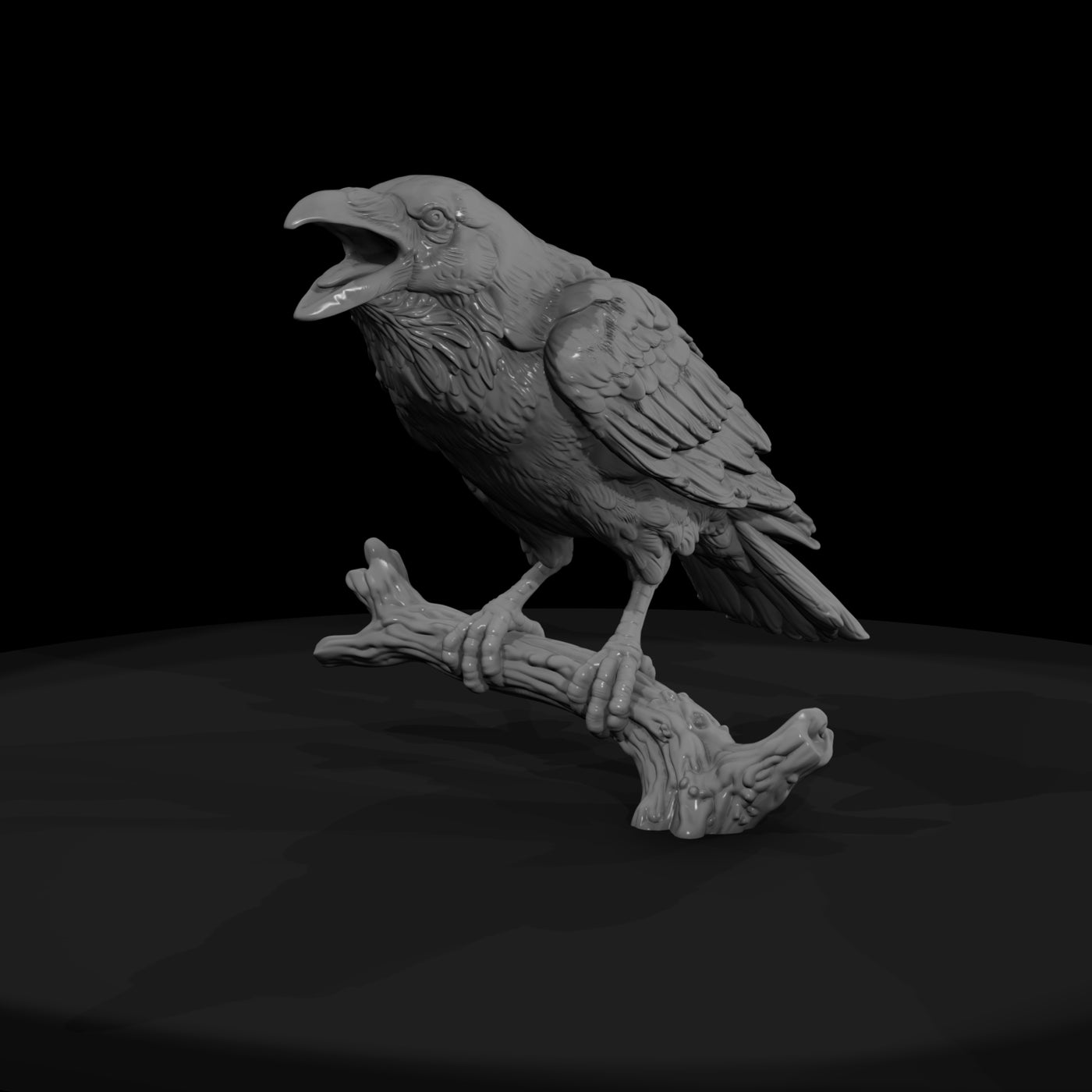 ww-0347-animal-common-raven