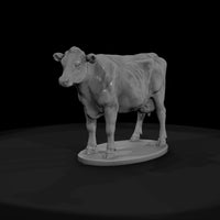 ww-0298-animal-dairy-cow — thumbnail 2