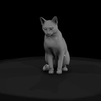 stylized_3d_sitting_house_cat_rx7729zn — thumbnail 2