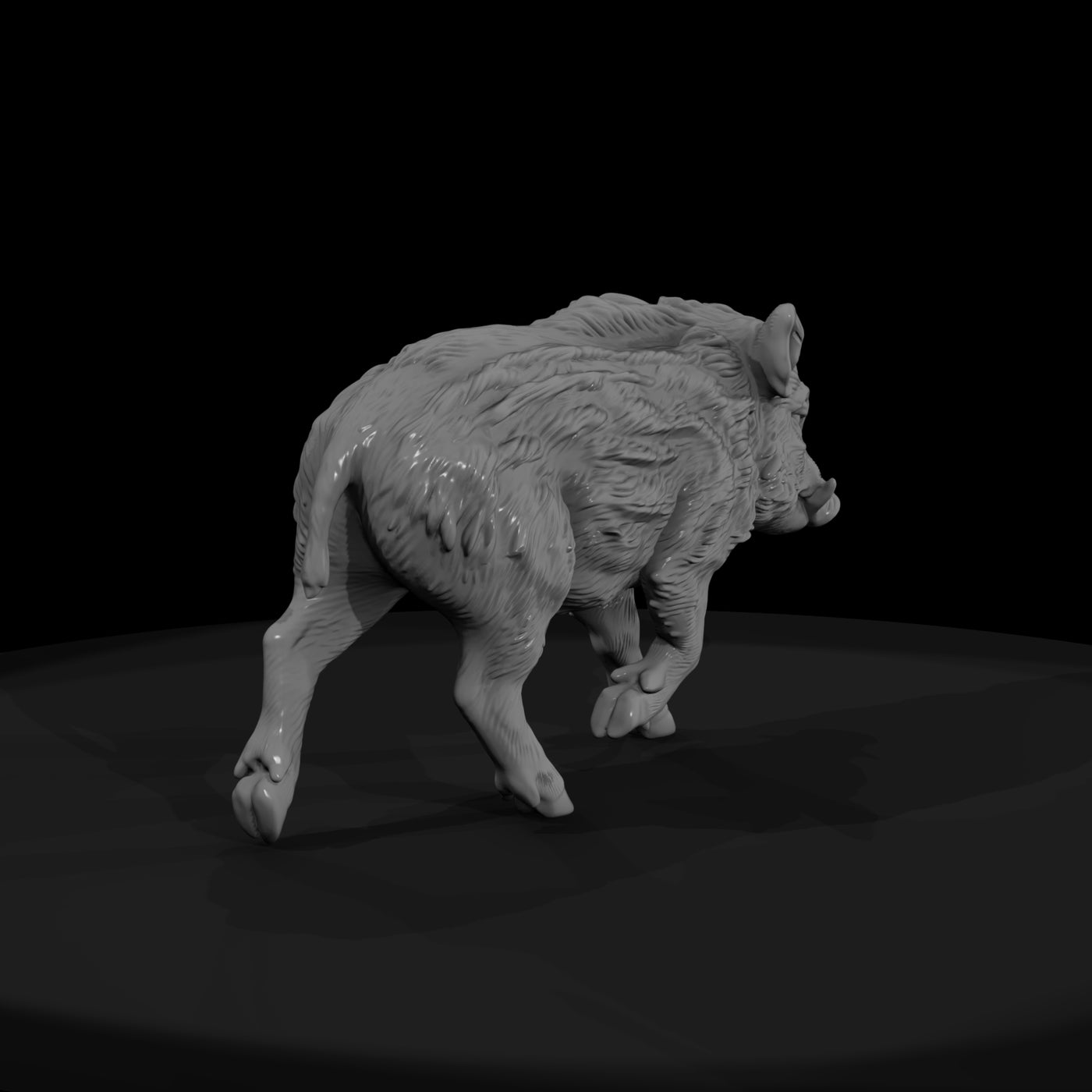ant-075-wild-boar-adolescent