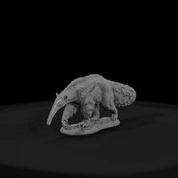 ant-259-giant-anteater-male — thumbnail 2