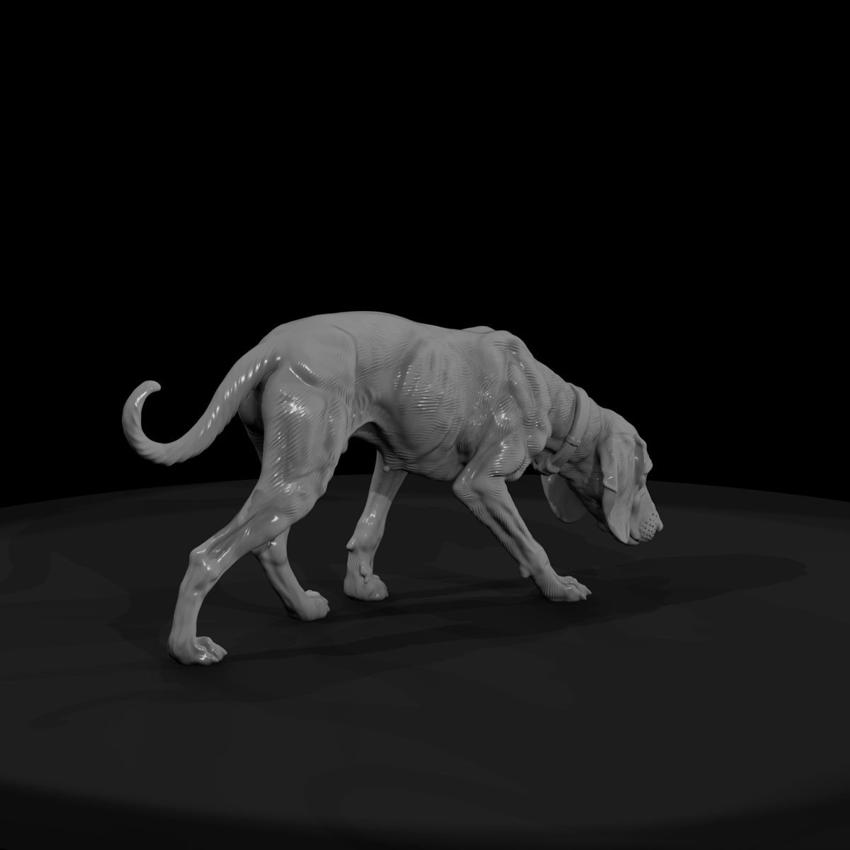 ww-0307-animal-hound-dog