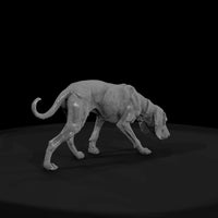 ww-0307-animal-hound-dog — thumbnail 2