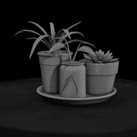 stylized-low-poly-potted-plant-propagation-set-hh6 — thumbnail 2