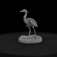 ant-290-great-blue-heron-female — thumbnail 2