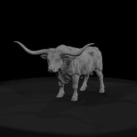 ww-0296-animal-longhorn-bull — thumbnail 2