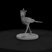 ant-292-secretary-bird-male — thumbnail 2