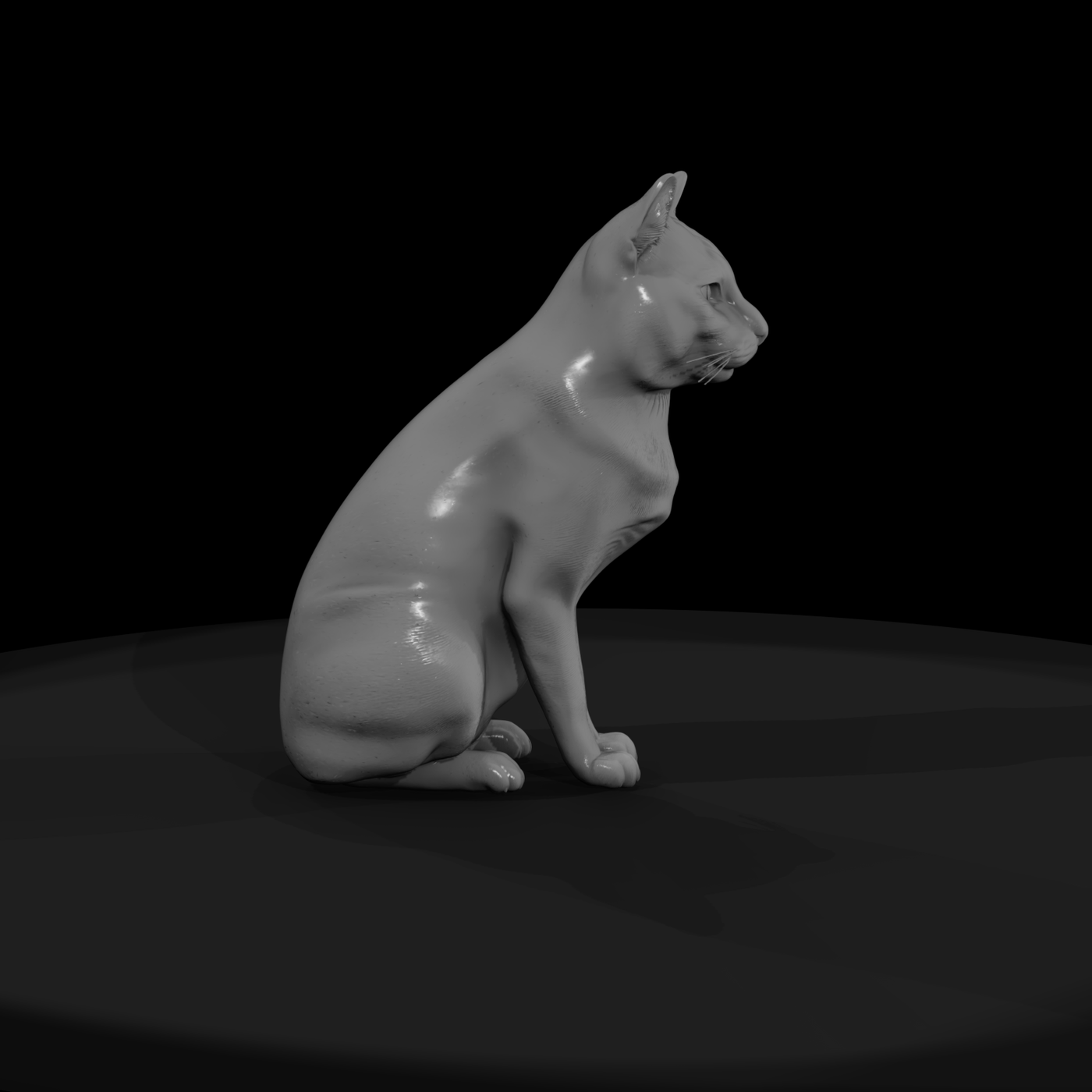 Housecat Set — Seated & Reclining Cats