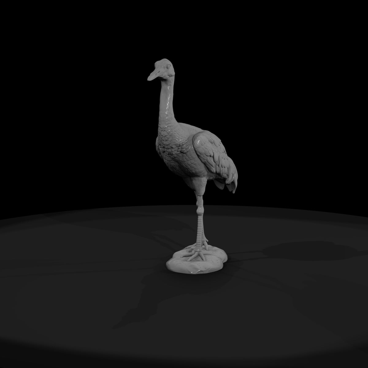 ant-131-sandhill-crane-female