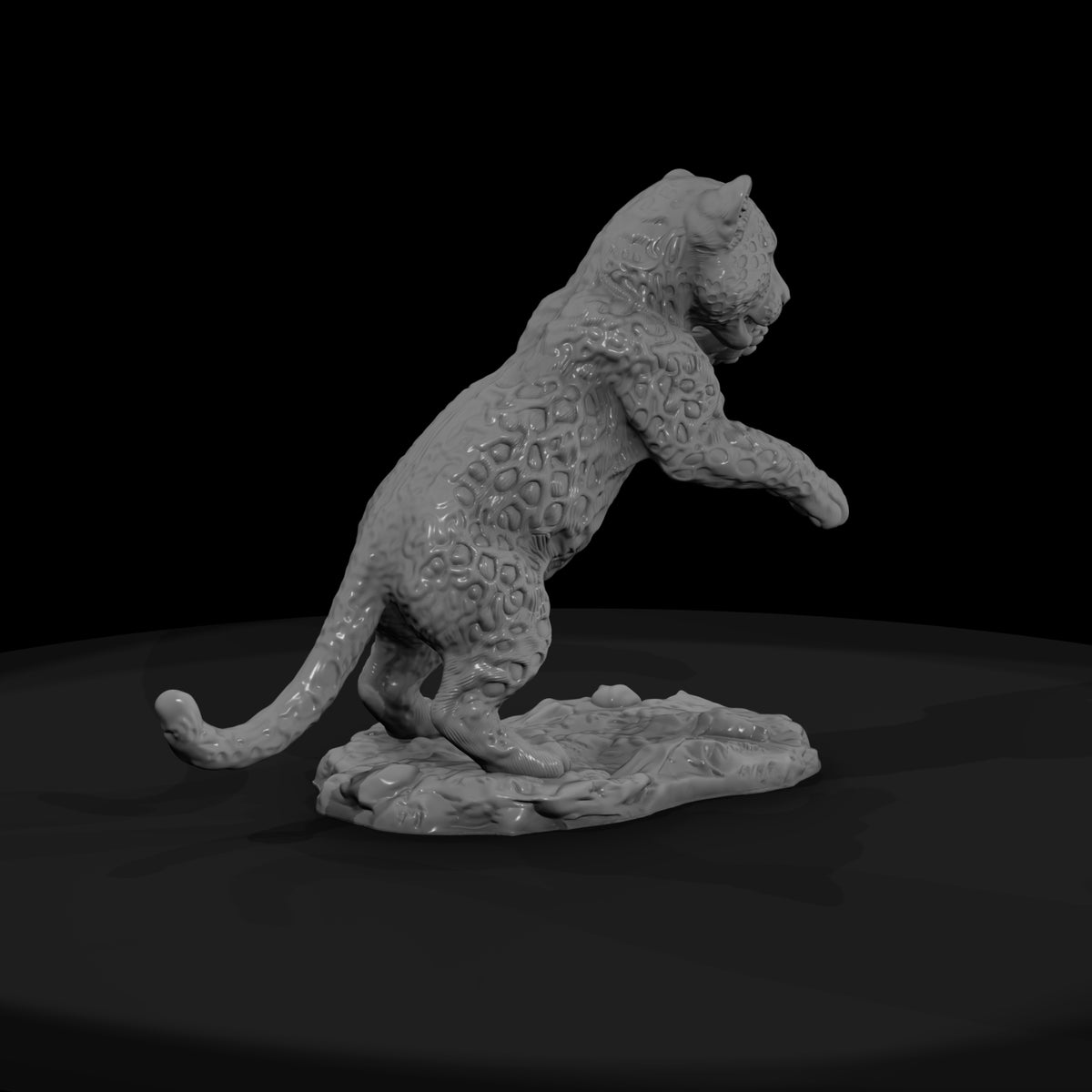 ant-009-leopard-adolescent