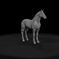 chestnut-horse — thumbnail 4