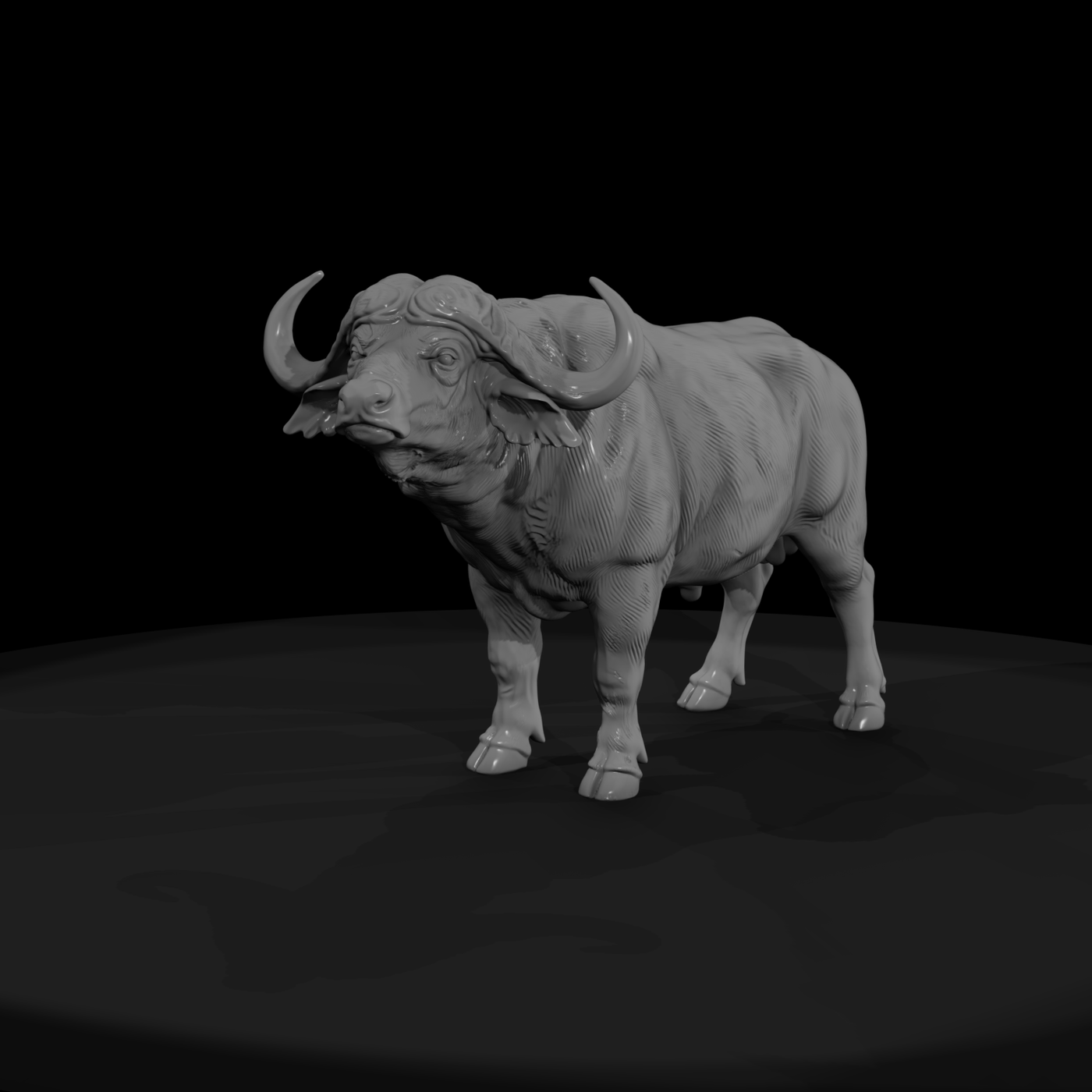 Ant 223 Cape Buffalo Male